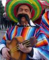 carnaval 2013 Sas van Gent