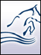 Horses by the Sea, 6, 7 en 8 juni 2002
te..