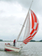 De 24-uurs van \