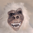 Scheer de Yeti