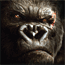 King Kong!