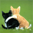 Schattige jonge diertjes