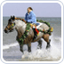 Stra� Noordwelle
