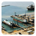 31 mei Open Havendag