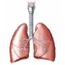 De medische encyclopedie online