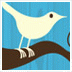 De Zeelandnet webmaster Twitter