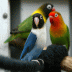 De website van Vincent & Marleen