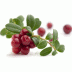 Recepten op basis van ingredi�nten