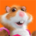 Hamsterwereld.nl: Waar komt jouw eten..