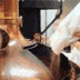 Het lekkerste bier van Zeeland wordt..