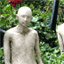 Kunst- en Natuurroute Wemeldinge