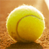 Toptennis op de Challenger Zeeland