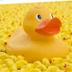 Doe mee met de Badeendjesrace Vlissingen