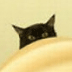 Katten die zich verstoppen en ons bespieden!