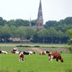 Alles over Hengstdijk