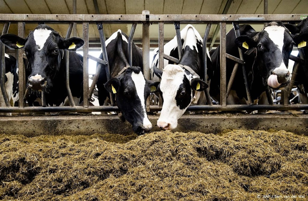 Viroloog: niet nodig te stoppen met eten van rundvlees om BSE-koe