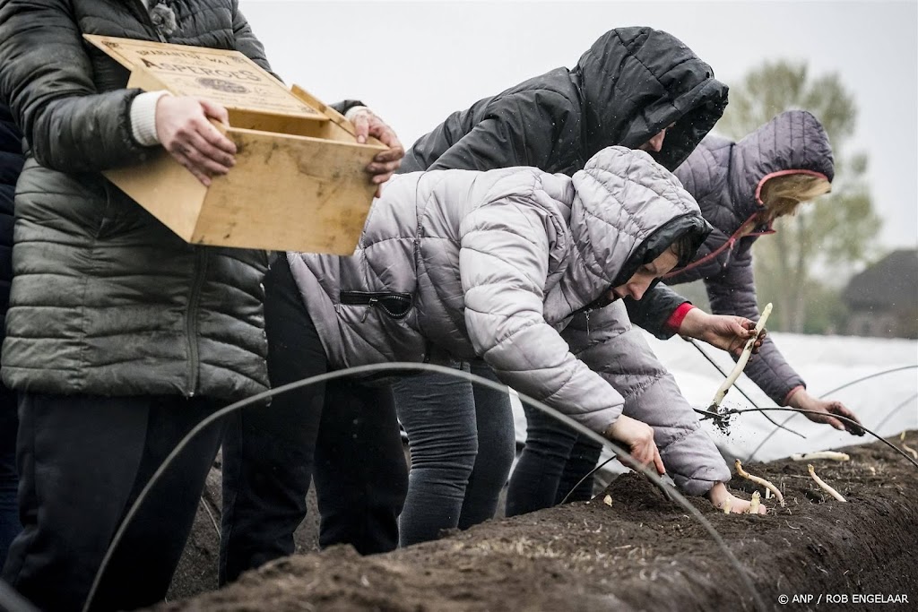 Meer Oekraïense vluchtelingen hebben een baan