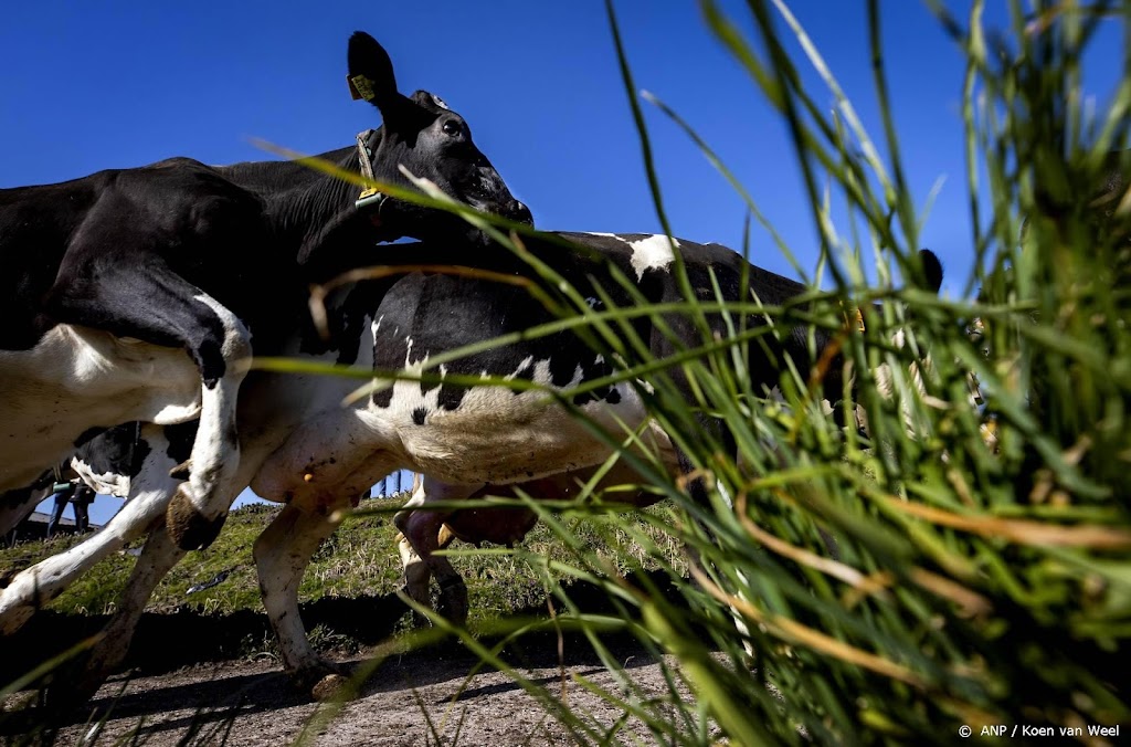 Ondernemers: kabinet moet haast maken met stikstofaanpak