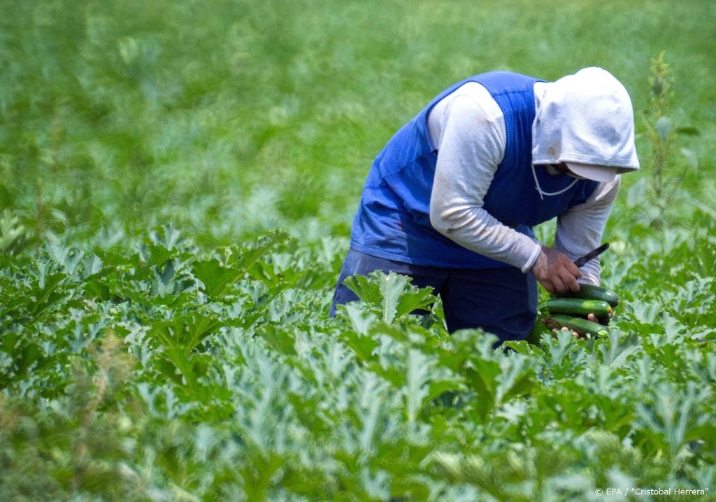 'China staakt tijdelijk inkopen landbouwproducten VS'