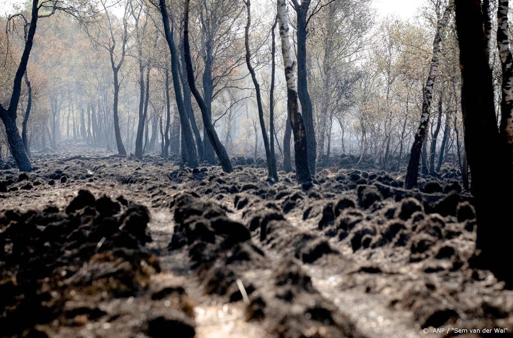 Zeer grote natuurbrand bij Well