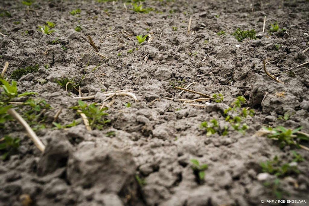 Neerslagtekort wordt hoger dan ooit in deze eeuw