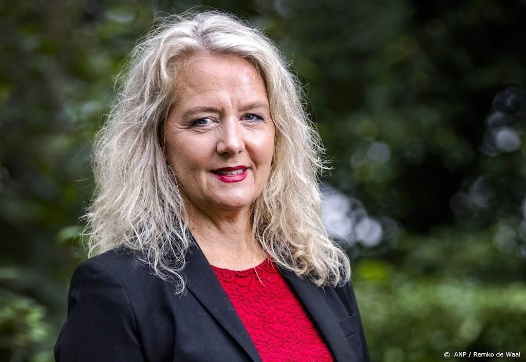 Nieuwe PvdA-voorzitter: samenwerking met GL is middel, geen doel