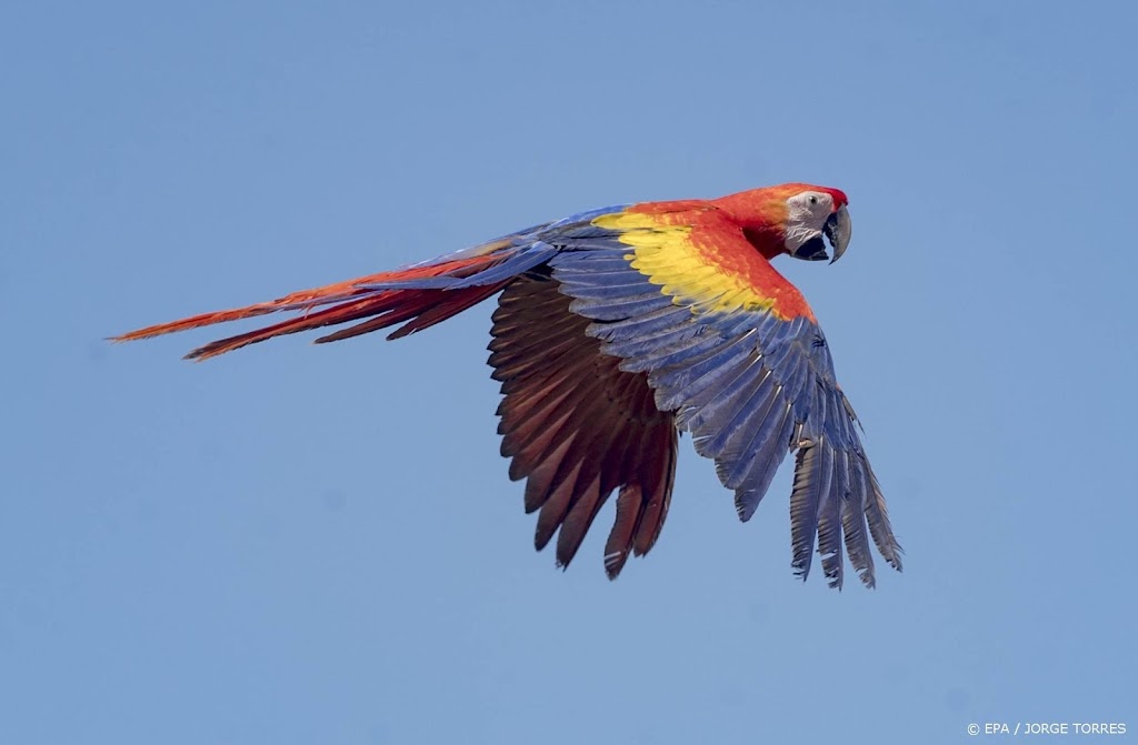 Honderden dieren ontdekt tijdens actie tegen wildlife crime