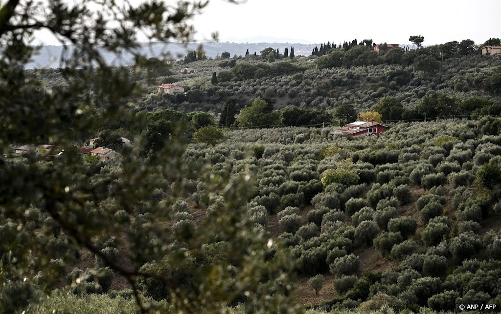 Italiaanse economie laat toch kleine groei zien