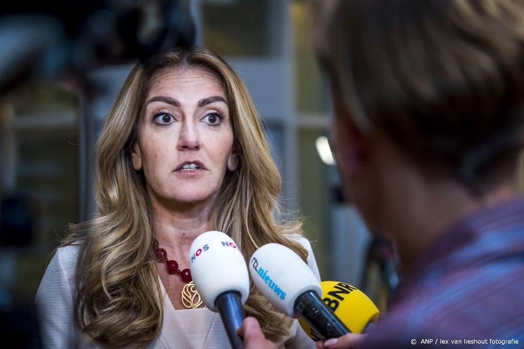 Deel Kamer wil betere beloning tolken en vertalers