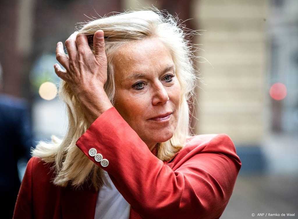 Kaag: meer investeren in woningen en publieke sector