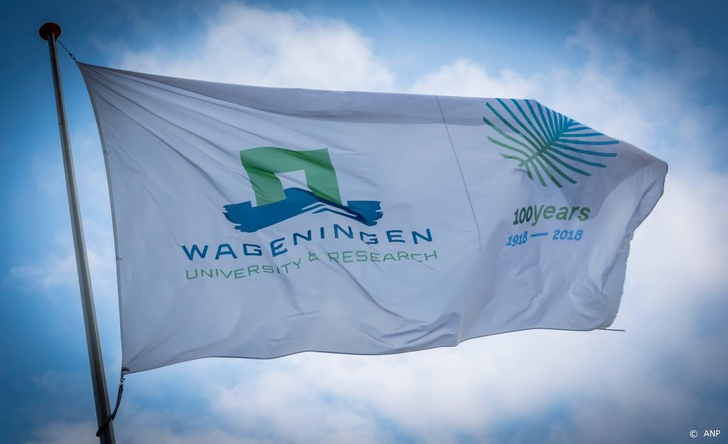 Beste Nederlandse universiteiten iets gedaald op ranglijst