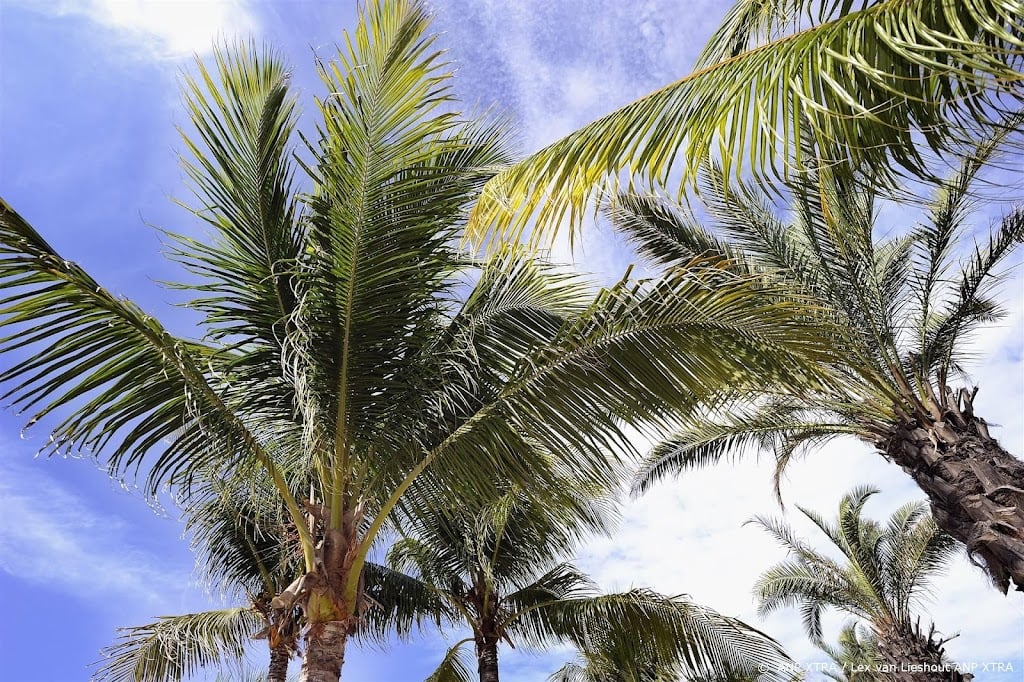 Oud-deelnemers Temptation Island onderzoeken juridische stappen
