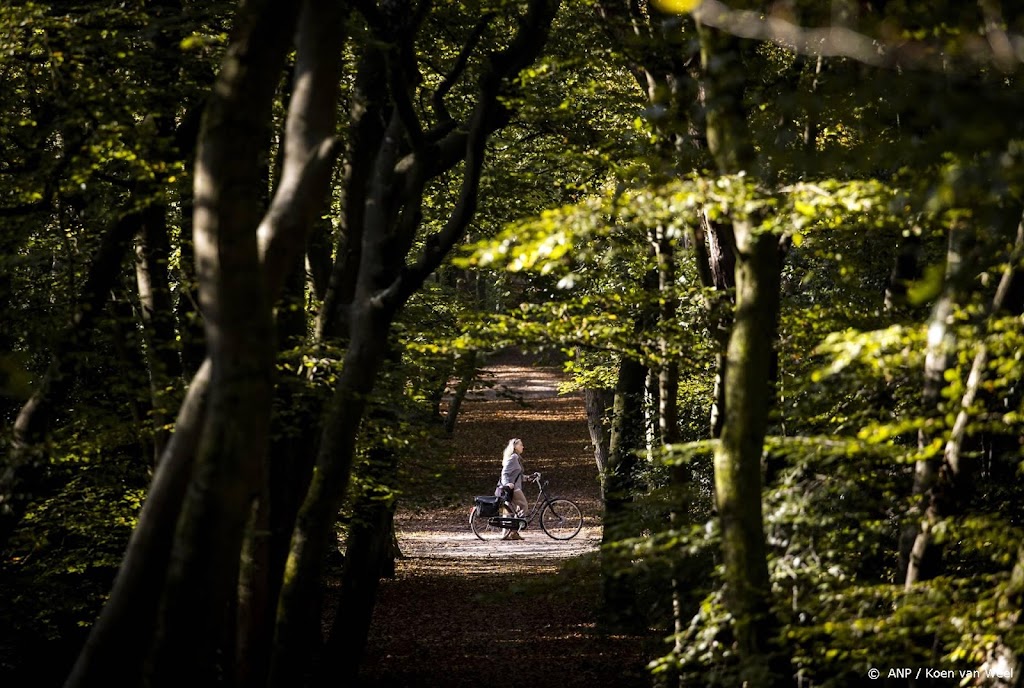 Nederland steekt ruim 170 miljoen in akkoord over bossen