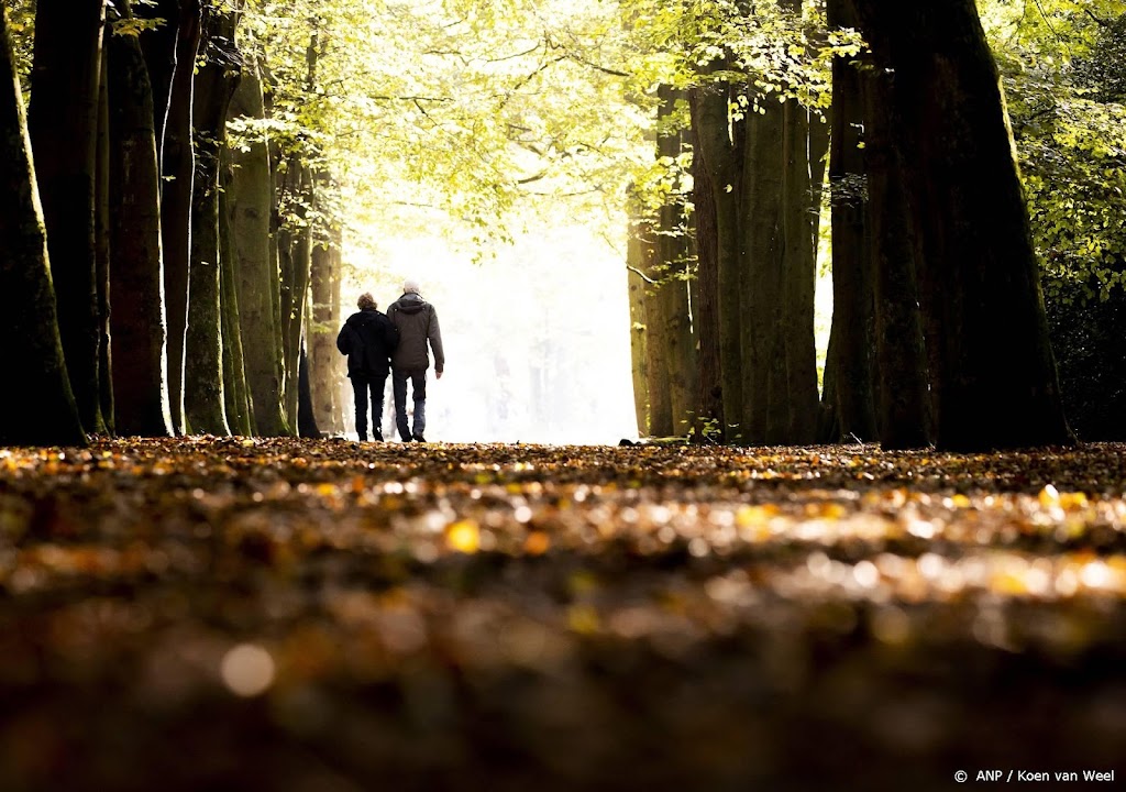 Meeste Nederlanders zijn tijdens coronacrisis meer gaan wandelen