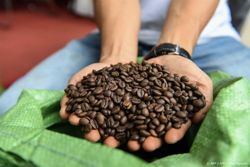 Hittegolf Vietnam jaagt prijs robusta-koffie naar recordhoogte