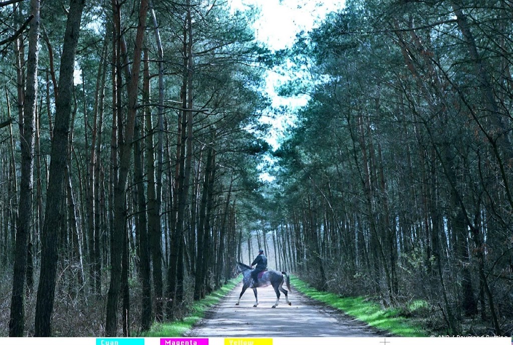 CBS: minder natuur en bos in Nederland, meer plekken bebouwd