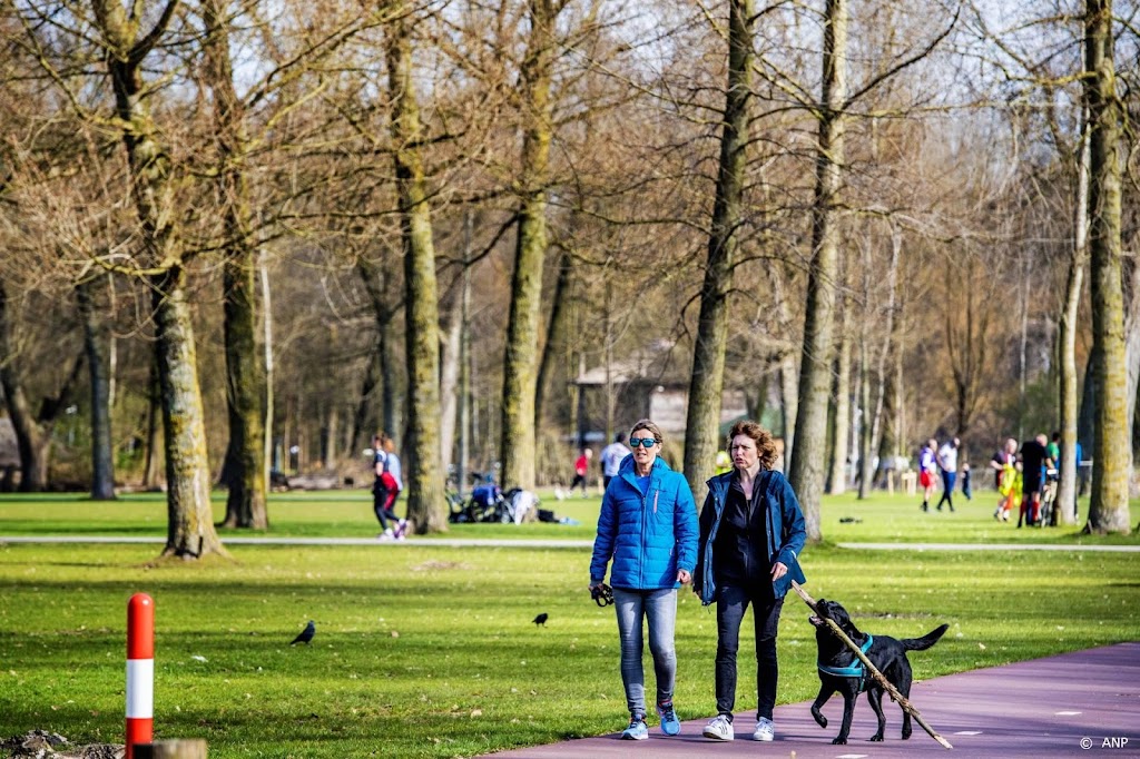 Extra controleurs en zwaardere straffen voor vervuilers Rotterdam
