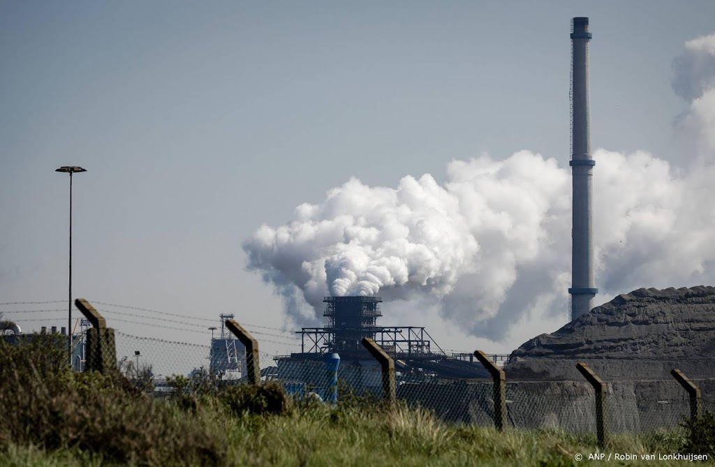 Oxfam: klimaatplannen leunen veel te veel op aanplant nieuw bos