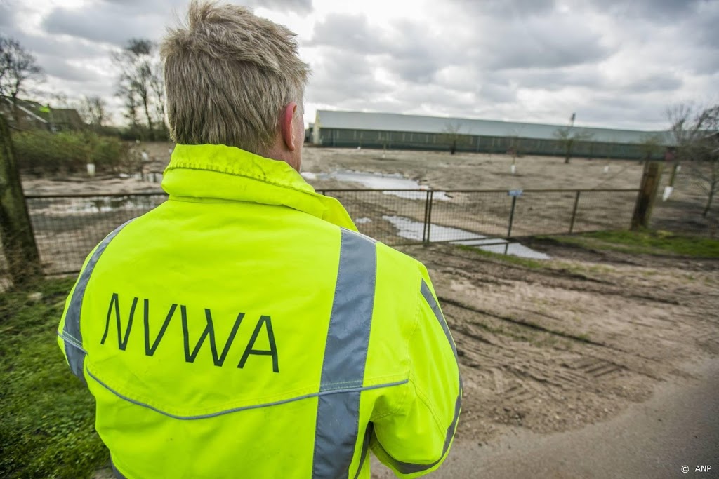 'Dierenartsen NVWA op vingers getikt om vervoer zieke varkens'