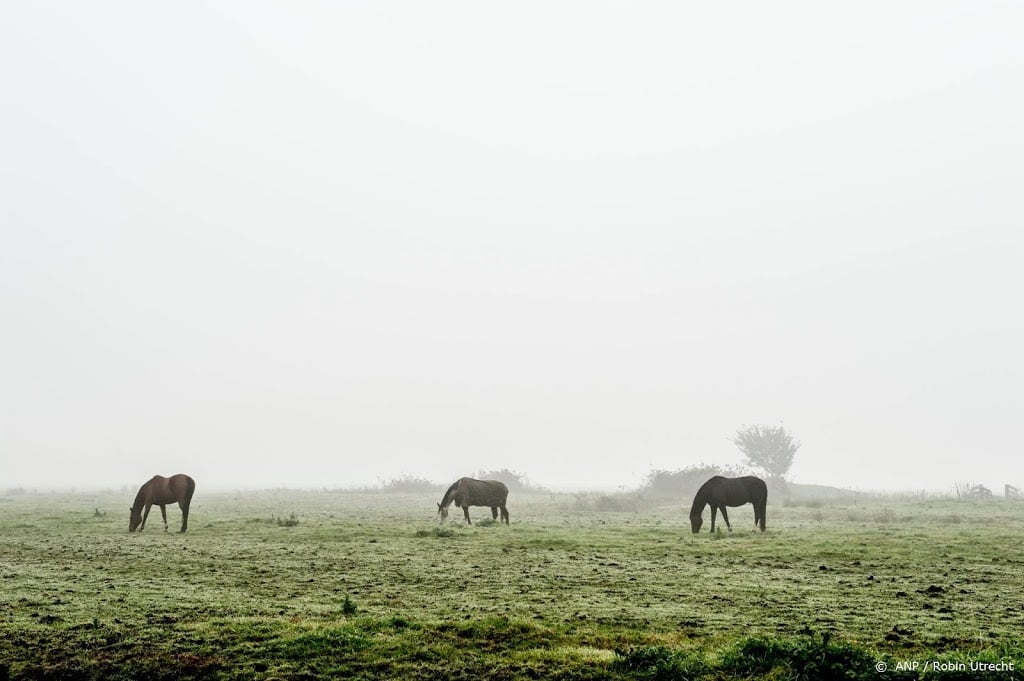 Eet Geen Dierendag dit jaar vooral online