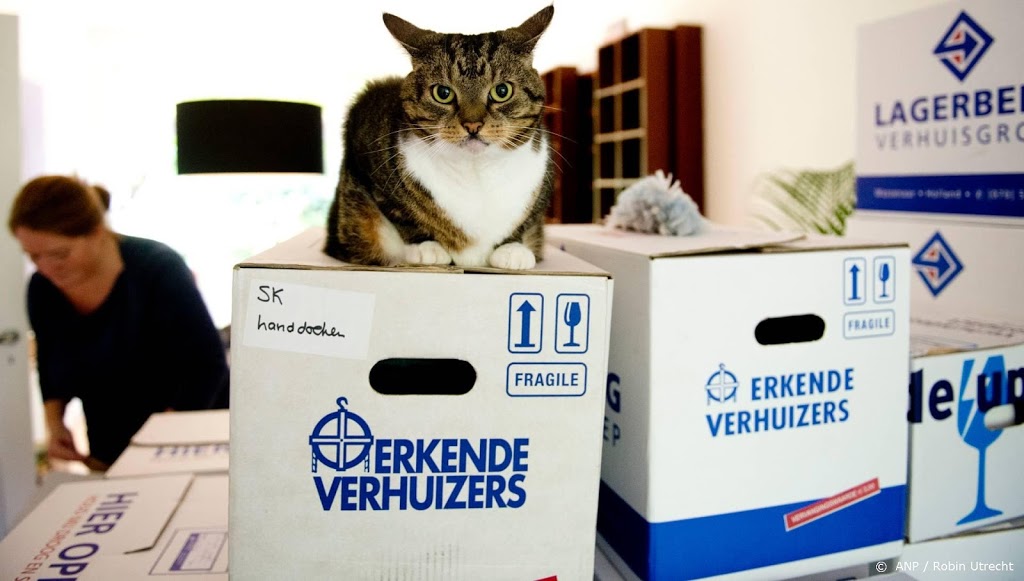 Zestigers verhuizen relatief vaak naar Drenthe