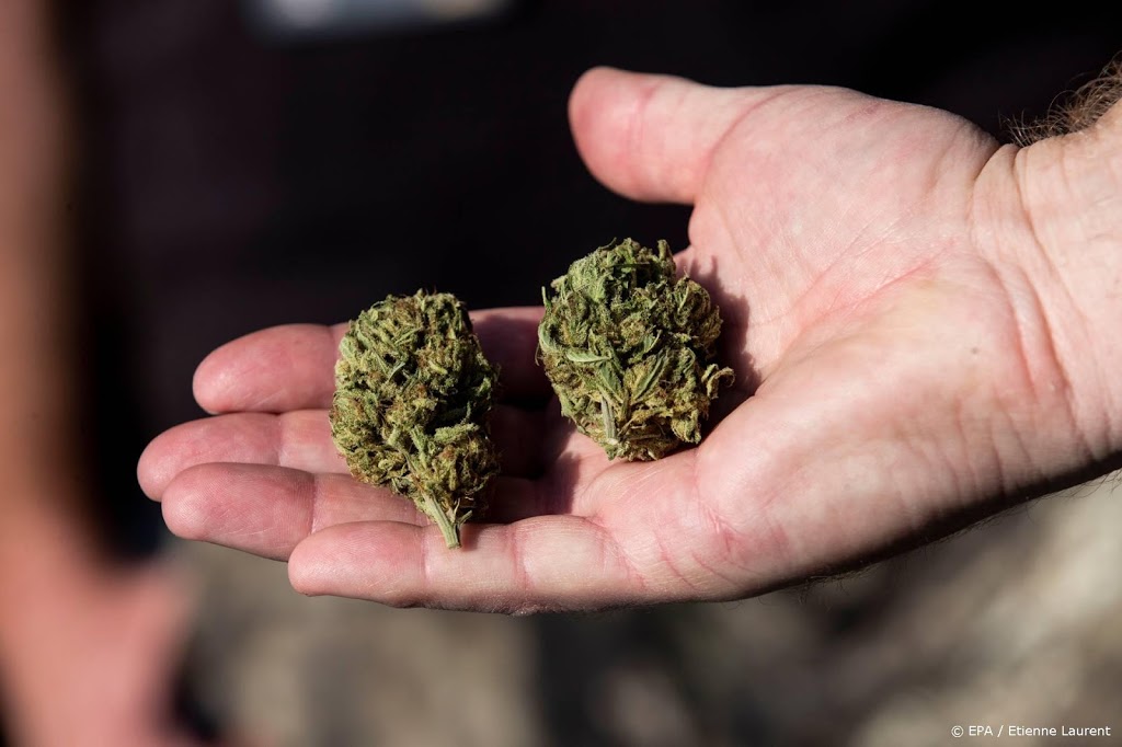 Amerikaans parlement zet eerste stap naar legale cannabis