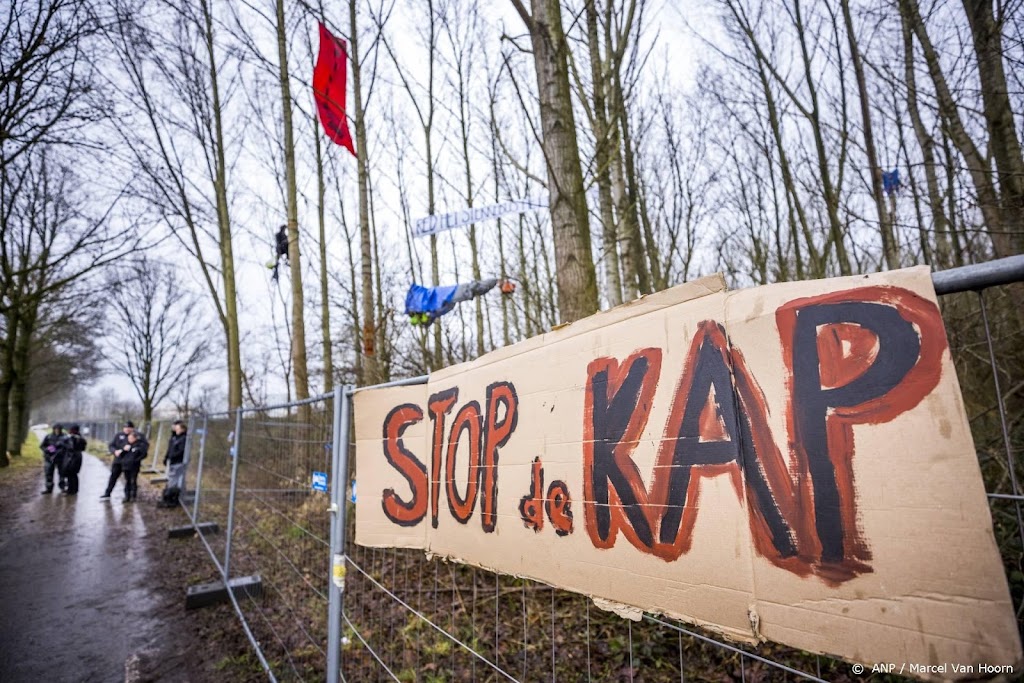 Greenpeace maakt zich grote zorgen over veiligheid bosbezetters