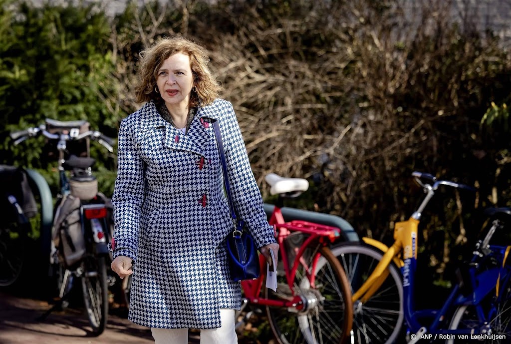 Eerste Kamerkandidaat Schippers gaat ander werk doen bij DSM