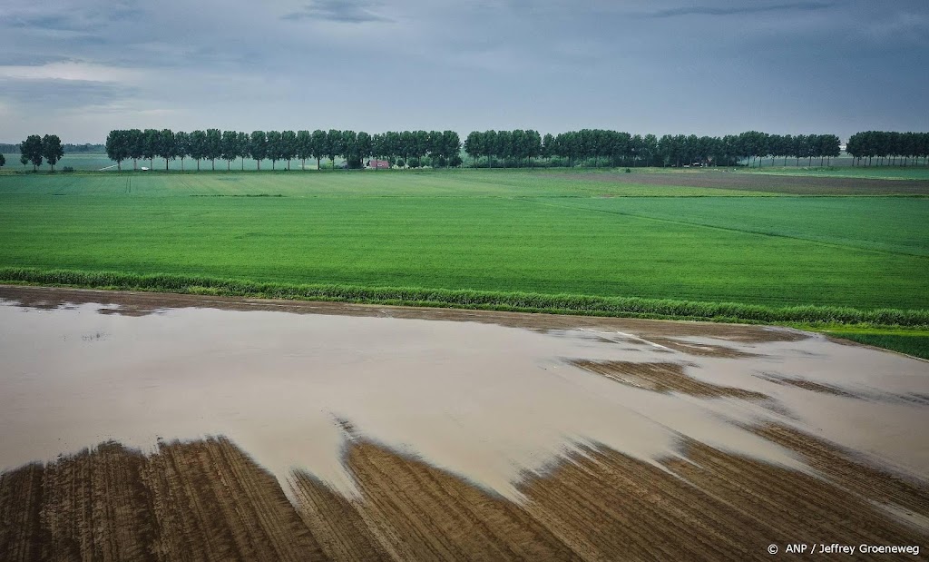 Weeronline: op een na natste eerste pinksterdag ooit in De Bilt
