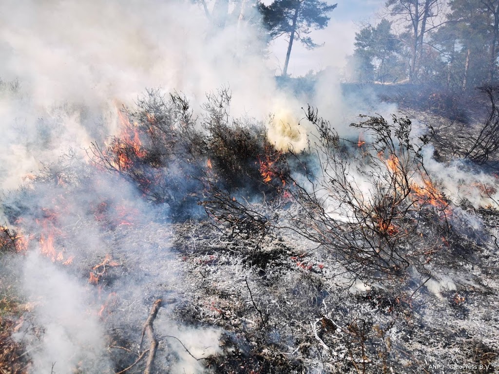 Ongeveer 2700 personen in veiligheid bij bosbrand Zuid-Frankrijk