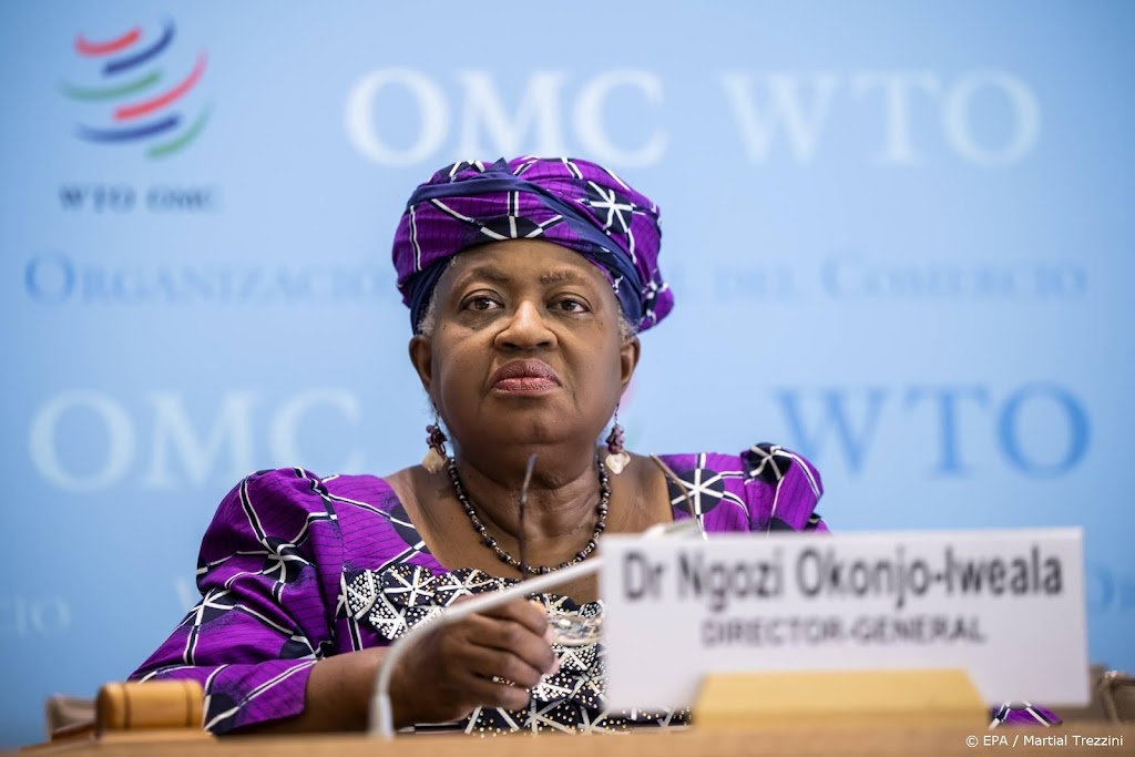Dure energie en hoge rentes remmen volgens WTO wereldhandel