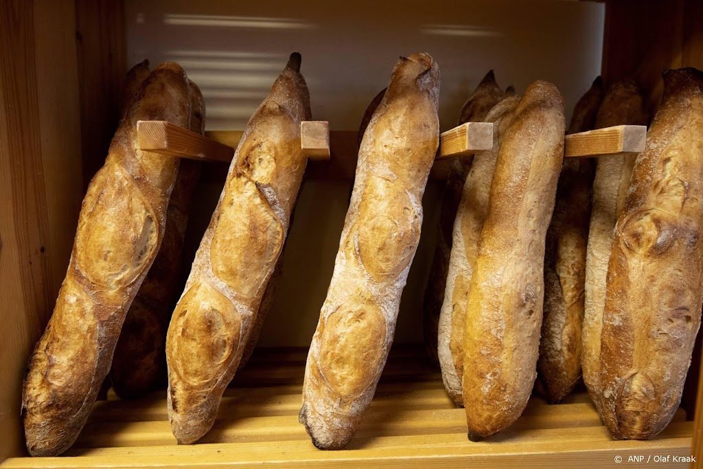 Bakkers houden het zwaar ondanks dalende energieprijzen