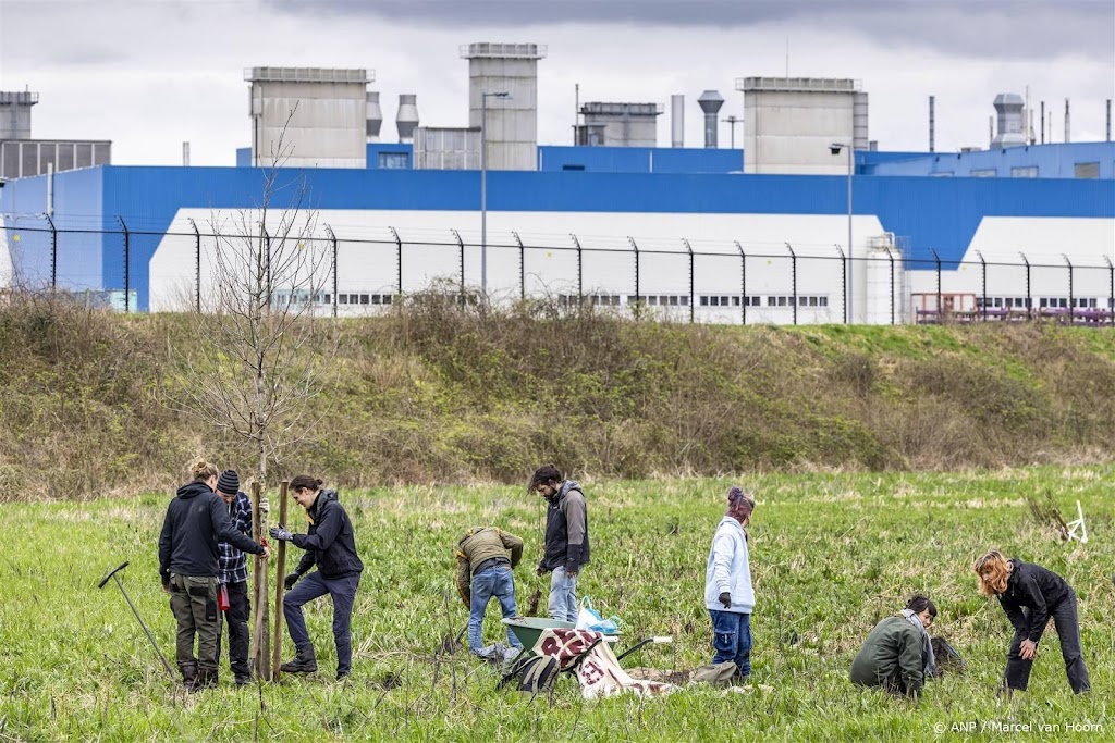 VDL Nedcar over verdwenen bomen Sterrebos: zorgvuldig verpoot