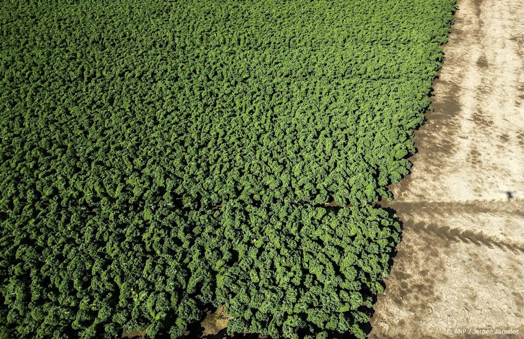 Nederlandse landbouw niet blij met Mercosur-deal